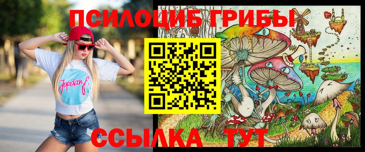 Галлюциногенные грибы Psilocybe Железногорск